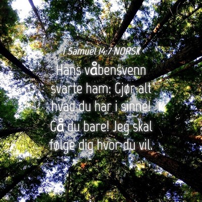Picture 04 - 1 Samuel 14:7 NORSK - Hans våbensvenn svarte ham: Gjør alt hvad du - Bible Verse Picture