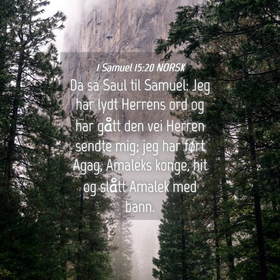 Picture 04 - 1 Samuel 15:20 NORSK - Da sa Saul til Samuel: Jeg har lydt Herrens ord - Bible Verse Picture
