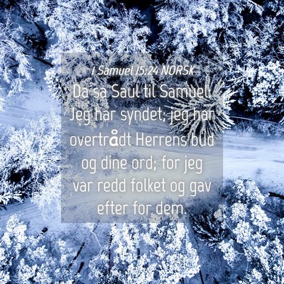 Picture 04 - 1 Samuel 15:24 NORSK - Da sa Saul til Samuel: Jeg har syndet; jeg har - Bible Verse Picture