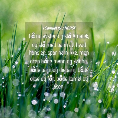 Picture 04 - 1 Samuel 15:3 NORSK - Gå nu avsted og slå Amalek, og slå med bann - Bible Verse Picture