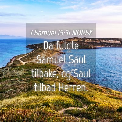 Picture 04 - 1 Samuel 15:31 NORSK - Da fulgte Samuel Saul tilbake, og Saul tilbad - Bible Verse Picture