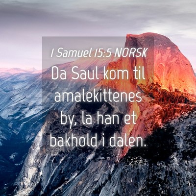 Picture 04 - 1 Samuel 15:5 NORSK - Da Saul kom til amalekittenes by, la han et - Bible Verse Picture