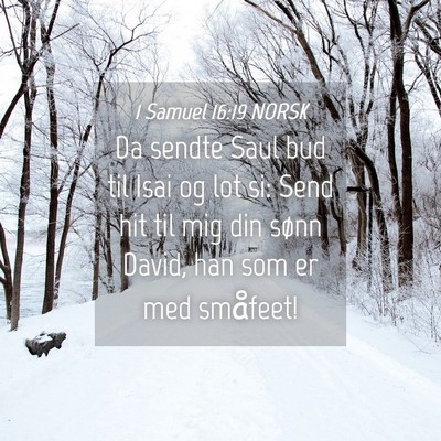 Picture 04 - 1 Samuel 16:19 NORSK - Da sendte Saul bud til Isai og lot si: Send hit - Bible Verse Picture