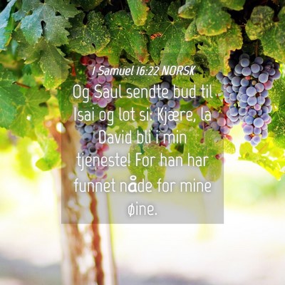 Picture 04 - 1 Samuel 16:22 NORSK - Og Saul sendte bud til Isai og lot si: Kjære, la - Bible Verse Picture