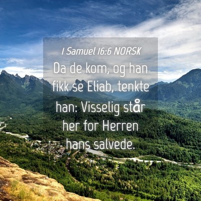 Picture 04 - 1 Samuel 16:6 NORSK - Da de kom, og han fikk se Eliab, tenkte han: - Bible Verse Picture