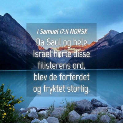 Picture 04 - 1 Samuel 17:11 NORSK - Da Saul og hele Israel hørte disse filisterens - Bible Verse Picture