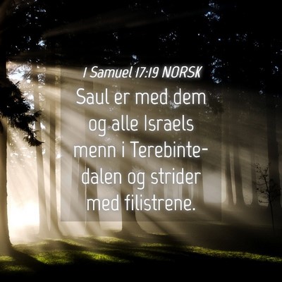 Picture 04 - 1 Samuel 17:19 NORSK - Saul er med dem og alle Israels menn i - Bible Verse Picture