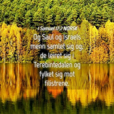 Picture 04 - 1 Samuel 17:2 NORSK - Og Saul og Israels menn samlet sig og; de leiret - Bible Verse Picture