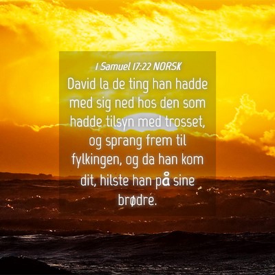 Picture 04 - 1 Samuel 17:22 NORSK - David la de ting han hadde med sig ned hos den - Bible Verse Picture