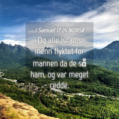 Picture 04 - 1 Samuel 17:24 NORSK - Og alle Israels menn flyktet for mannen da de så - Bible Verse Picture