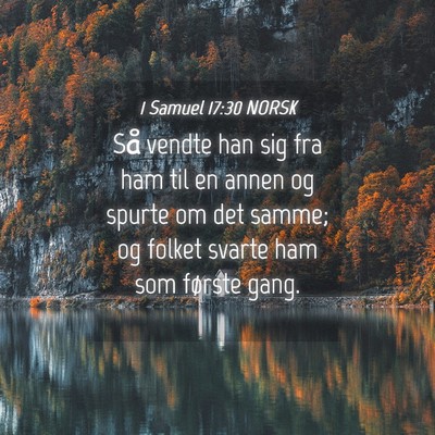 Picture 04 - 1 Samuel 17:30 NORSK - Så vendte han sig fra ham til en annen og spurte - Bible Verse Picture