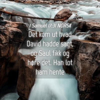 Picture 04 - 1 Samuel 17:31 NORSK - Det kom ut hvad David hadde sagt, og Saul fikk og - Bible Verse Picture