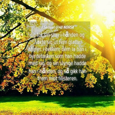 Picture 04 - 1 Samuel 17:40 NORSK - og tok sin stav i hånden og søkte sig ut fem - Bible Verse Picture