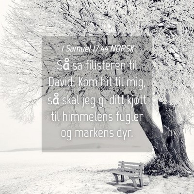Picture 04 - 1 Samuel 17:44 NORSK - Så sa filisteren til David: Kom hit til mig, så - Bible Verse Picture