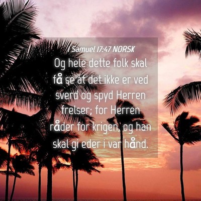 Picture 04 - 1 Samuel 17:47 NORSK - Og hele dette folk skal få se at det ikke er ved - Bible Verse Picture