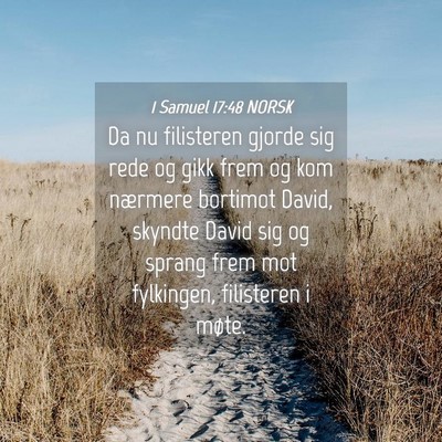 Picture 04 - 1 Samuel 17:48 NORSK - Da nu filisteren gjorde sig rede og gikk frem og - Bible Verse Picture