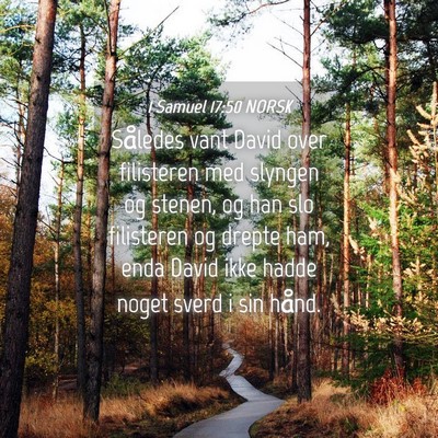Picture 04 - 1 Samuel 17:50 NORSK - Således vant David over filisteren med slyngen - Bible Verse Picture