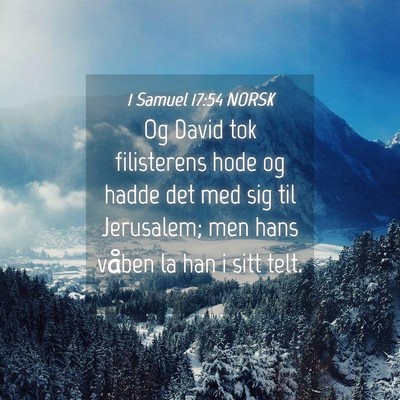Picture 04 - 1 Samuel 17:54 NORSK - Og David tok filisterens hode og hadde det med - Bible Verse Picture