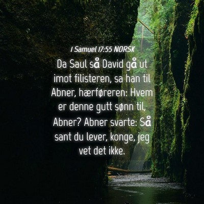 Picture 04 - 1 Samuel 17:55 NORSK - Da Saul så David gå ut imot filisteren, sa han - Bible Verse Picture