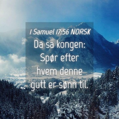 Picture 04 - 1 Samuel 17:56 NORSK - Da sa kongen: Spør efter hvem denne gutt er - Bible Verse Picture