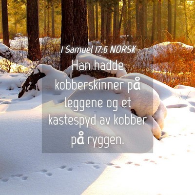 Picture 04 - 1 Samuel 17:6 NORSK - Han hadde kobberskinner på leggene og et - Bible Verse Picture