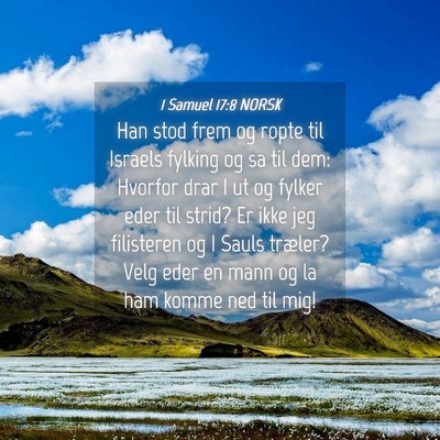Picture 04 - 1 Samuel 17:8 NORSK - Han stod frem og ropte til Israels fylking og sa - Bible Verse Picture