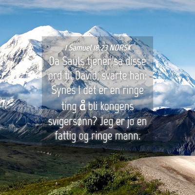 Picture 04 - 1 Samuel 18:23 NORSK - Da Sauls tjener sa disse ord til David, svarte - Bible Verse Picture
