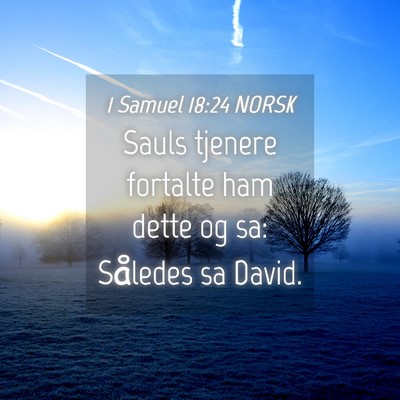 Picture 04 - 1 Samuel 18:24 NORSK - Sauls tjenere fortalte ham dette og sa: Således - Bible Verse Picture