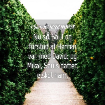 Picture 04 - 1 Samuel 18:28 NORSK - Nu så Saul og forstod at Herren var med David; - Bible Verse Picture