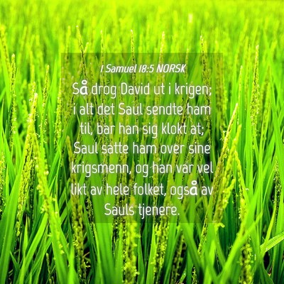 Picture 04 - 1 Samuel 18:5 NORSK - Så drog David ut i krigen; i alt det Saul sendte - Bible Verse Picture