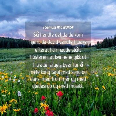Picture 04 - 1 Samuel 18:6 NORSK - Så hendte det da de kom hjem, da David vendte - Bible Verse Picture