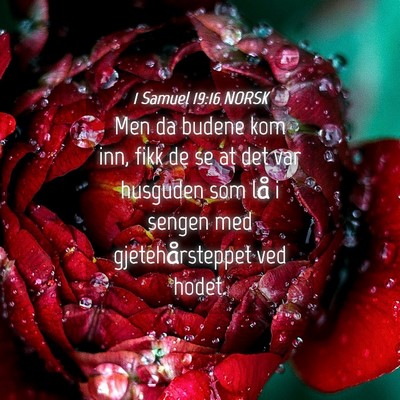 Picture 04 - 1 Samuel 19:16 NORSK - Men da budene kom inn, fikk de se at det var - Bible Verse Picture