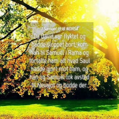 Picture 04 - 1 Samuel 19:18 NORSK - Da David var flyktet og hadde sloppet bort, kom - Bible Verse Picture