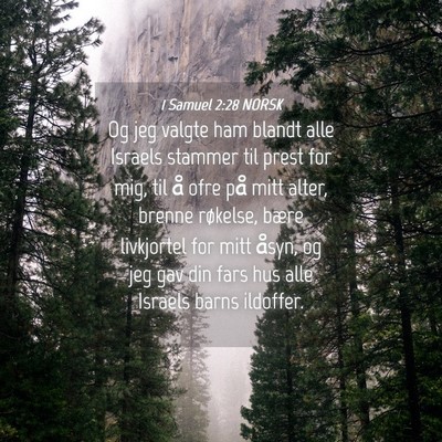 Picture 04 - 1 Samuel 2:28 NORSK - Og jeg valgte ham blandt alle Israels stammer til - Bible Verse Picture