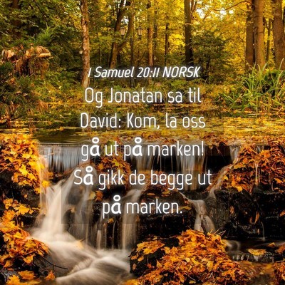 Picture 04 - 1 Samuel 20:11 NORSK - Og Jonatan sa til David: Kom, la oss gå ut på - Bible Verse Picture