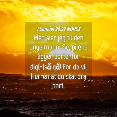 Picture 04 - 1 Samuel 20:22 NORSK - Men sier jeg til den unge mann: Se, pilene ligger - Bible Verse Picture