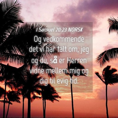Picture 04 - 1 Samuel 20:23 NORSK - Og vedkommende det vi har talt om, jeg og du, så - Bible Verse Picture