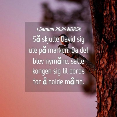 Picture 04 - 1 Samuel 20:24 NORSK - Så skjulte David sig ute på marken. Da det blev - Bible Verse Picture