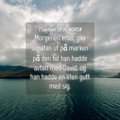 Picture 04 - 1 Samuel 20:35 NORSK - Morgenen efter gikk Jonatan ut på marken på den - Bible Verse Picture