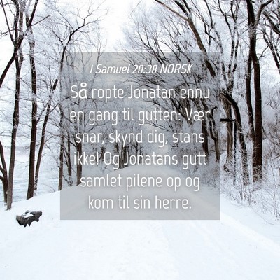 Picture 04 - 1 Samuel 20:38 NORSK - Så ropte Jonatan ennu en gang til gutten: Vær - Bible Verse Picture