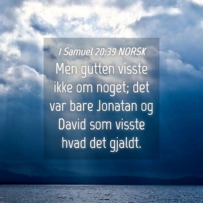 Picture 04 - 1 Samuel 20:39 NORSK - Men gutten visste ikke om noget; det var bare - Bible Verse Picture