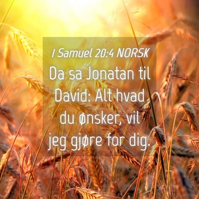Picture 04 - 1 Samuel 20:4 NORSK - Da sa Jonatan til David: Alt hvad du ønsker, vil - Bible Verse Picture