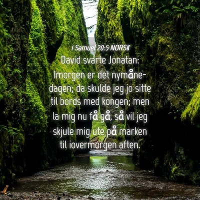 Picture 04 - 1 Samuel 20:5 NORSK - David svarte Jonatan: Imorgen er det - Bible Verse Picture