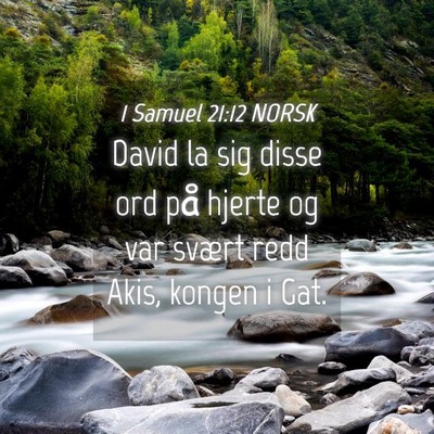 Picture 04 - 1 Samuel 21:12 NORSK - David la sig disse ord på hjerte og var svært - Bible Verse Picture