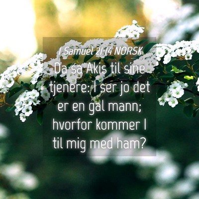 Picture 04 - 1 Samuel 21:14 NORSK - Da sa Akis til sine tjenere: I ser jo det er en - Bible Verse Picture
