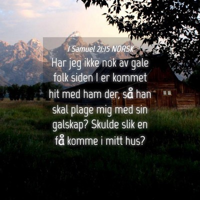 Picture 04 - 1 Samuel 21:15 NORSK - Har jeg ikke nok av gale folk siden I er kommet - Bible Verse Picture