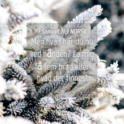 Picture 04 - 1 Samuel 21:3 NORSK - Men hvad har du nu ved hånden? La mig få fem - Bible Verse Picture
