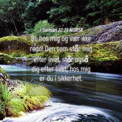 Picture 04 - 1 Samuel 22:23 NORSK - Bli hos mig og vær ikke redd! Den som står mig - Bible Verse Picture