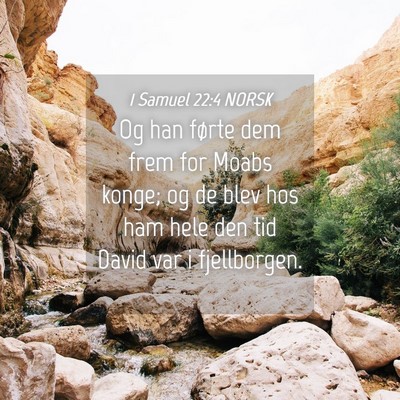 Picture 04 - 1 Samuel 22:4 NORSK - Og han førte dem frem for Moabs konge; og de - Bible Verse Picture