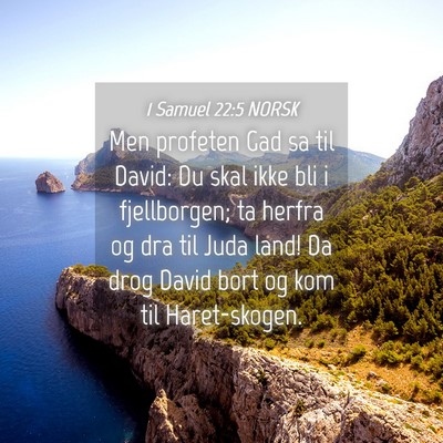Picture 04 - 1 Samuel 22:5 NORSK - Men profeten Gad sa til David: Du skal ikke bli i - Bible Verse Picture